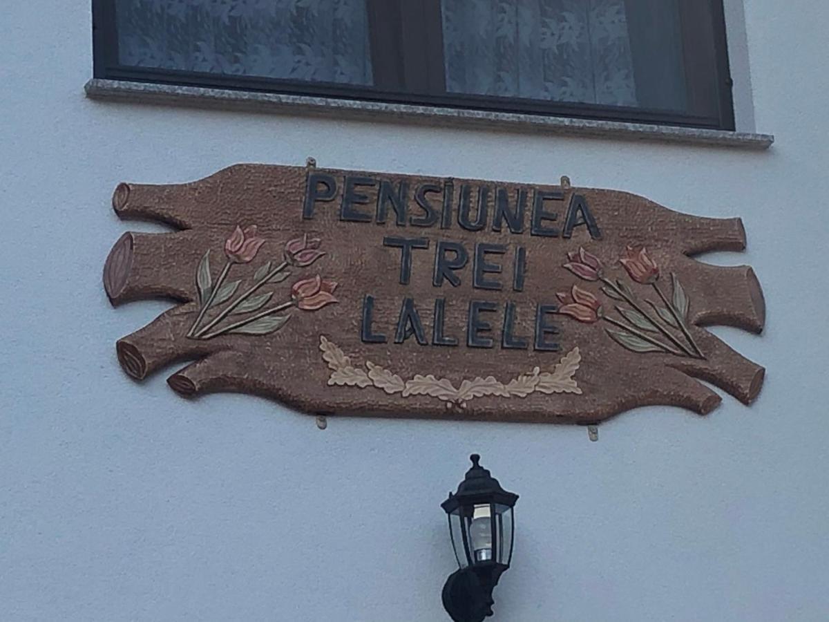 Pensiunea Trei Lalele Moisei Eksteriør bilde